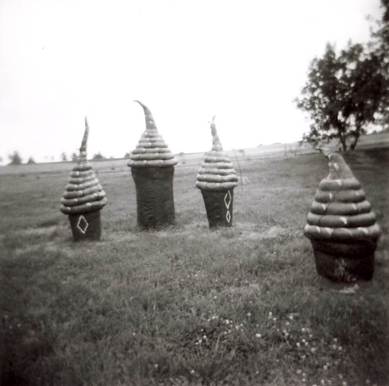 Holga