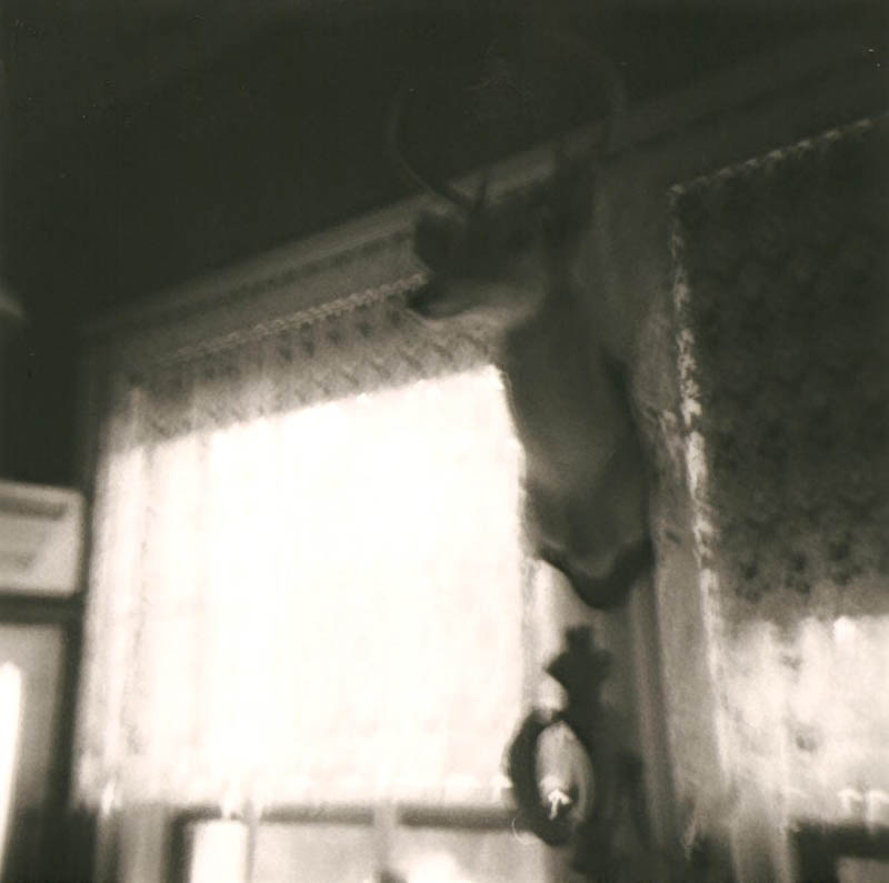 Holga