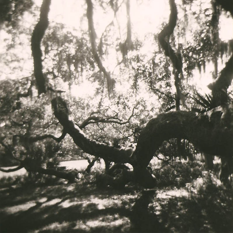 Holga